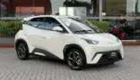 BYD Dolphin Mini - Miniatura 2