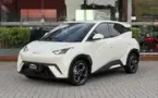 BYD Dolphin Mini - Miniatura 4