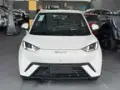 BYD Dolphin Mini - Miniatura 3
