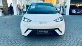 BYD Dolphin Mini - Miniatura 1