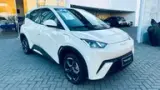 BYD Dolphin Mini - Miniatura 3