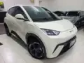 BYD Dolphin Mini - Miniatura 2
