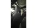 BYD Dolphin Plus - Miniatura 4