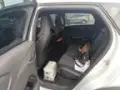 BYD Dolphin Plus - Miniatura 9
