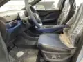 BYD Dolphin Mini - Miniatura 20