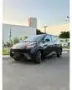 BYD Dolphin Mini - Miniatura 1