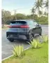 BYD Dolphin Mini - Miniatura 2