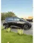 BYD Dolphin Mini - Miniatura 4