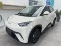 BYD Dolphin Mini - Miniatura 1