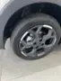 BYD Dolphin Mini - Miniatura 7