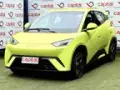 BYD Dolphin Mini - Miniatura 1
