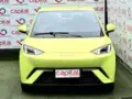 BYD Dolphin Mini - Miniatura 2