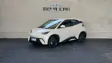 BYD Dolphin Mini - Miniatura 1