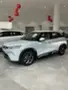 BYD Yuan Pro - Miniatura 1