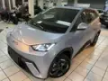 BYD Dolphin Mini - Miniatura 1