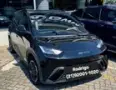 BYD Dolphin - Miniatura 2