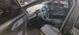 BYD Dolphin Mini - Miniatura 4