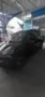 BYD Dolphin Mini - Miniatura 2
