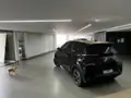 BYD Dolphin Mini - Miniatura 7