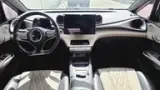 BYD Dolphin - Miniatura 14