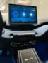 BYD Dolphin Mini - Miniatura 8