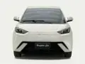 BYD Dolphin Mini - Miniatura 2
