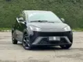BYD Dolphin Mini - Miniatura 2