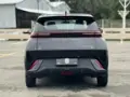 BYD Dolphin Mini - Miniatura 6