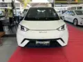 BYD Dolphin - Miniatura 7