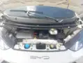 BYD Dolphin - Miniatura 9