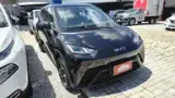 BYD Dolphin Mini - Miniatura 12