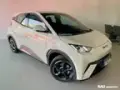 BYD Dolphin Mini - Miniatura 1