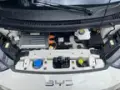 BYD Dolphin Mini - Miniatura 20