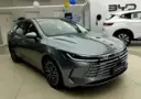 BYD King - Miniatura 1