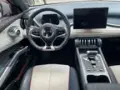 BYD Yuan Plus - Miniatura 7