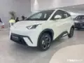 BYD Dolphin Mini - Miniatura 4