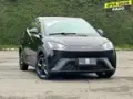 BYD Dolphin Mini - Miniatura 1