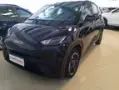 BYD Dolphin Mini - Miniatura 2