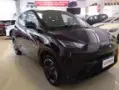 BYD Dolphin Mini - Miniatura 3