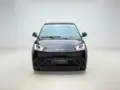 BYD Dolphin Mini - Miniatura 2