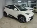 BYD Dolphin Mini - Miniatura 2