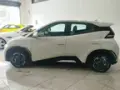 BYD Dolphin Mini - Miniatura 5