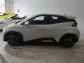 BYD Dolphin Mini - Miniatura 6