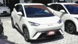 BYD Dolphin Mini - Miniatura 1