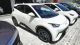 BYD Dolphin Mini - Miniatura 2