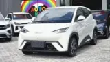 BYD Dolphin Mini - Miniatura 4