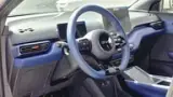 BYD Dolphin Mini - Miniatura 5