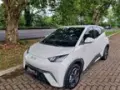 BYD Dolphin Mini - Miniatura 1