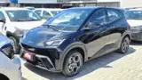 BYD Dolphin Mini - Miniatura 1