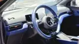 BYD Dolphin Mini - Miniatura 7